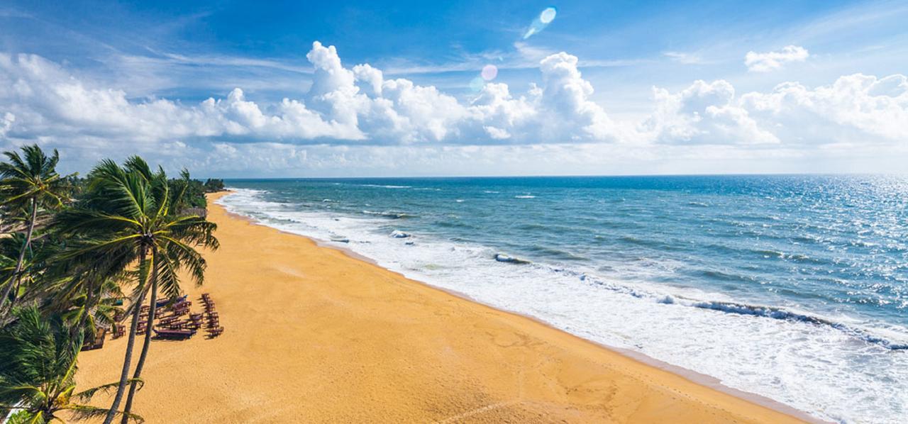 Charming Homestay By The Beach マウントラビニア エクステリア 写真